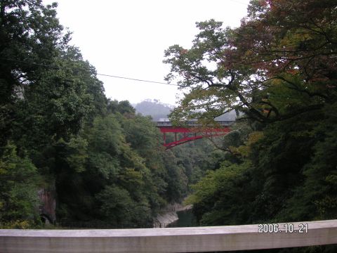 s_PICT0012.jpg